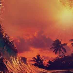 Meet your Posher, Justin